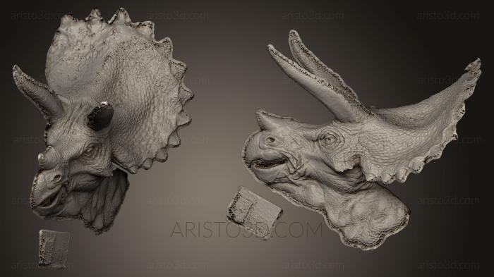 Masks and muzzles of animals (MSKJ_0114) 3D model for CNC machine